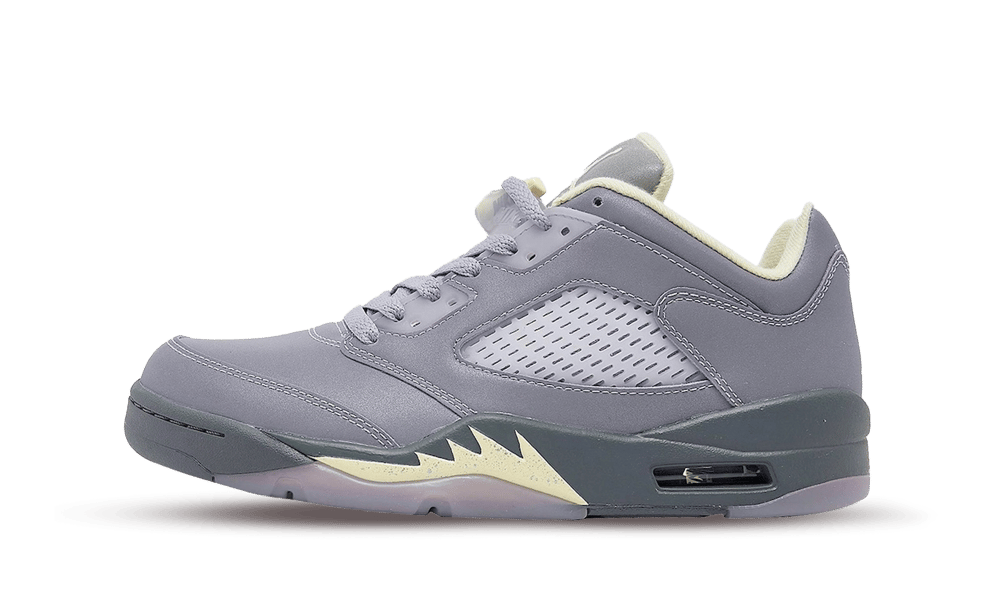 Air Jordan 5 Retro Low Indigo Haze Nuove e Autentiche al 100 Mr.Reseller
