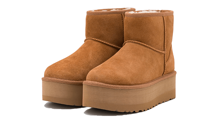 Ugg montante shop