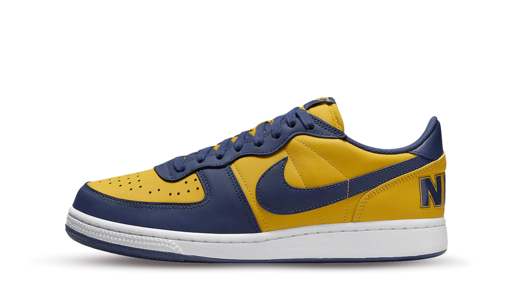 Nike Terminator Low Michigan