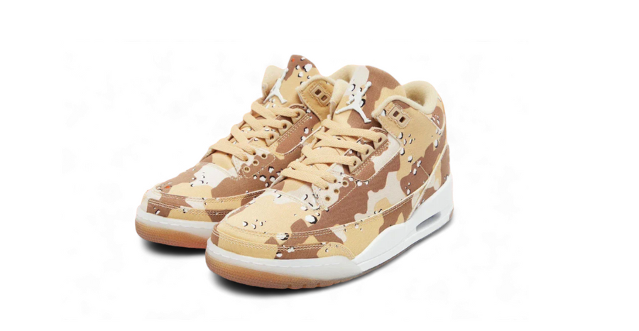 Air Jordan 3 Retro WNBA Desert Camo