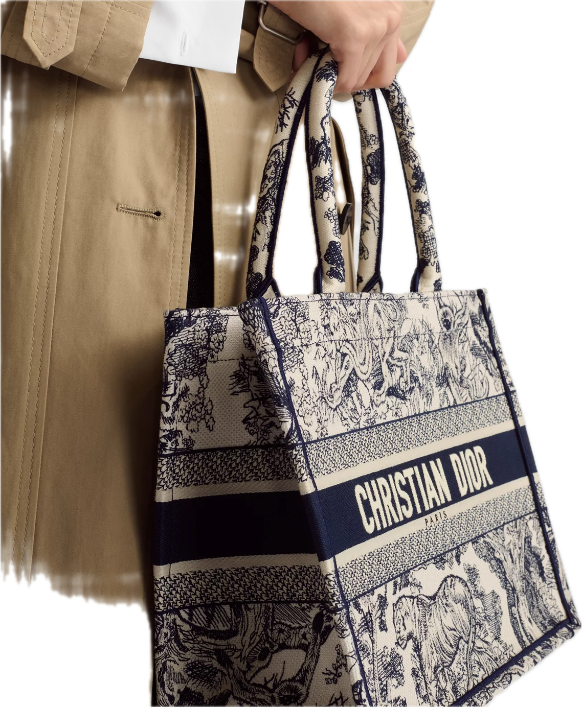 Borsa media Dior Book Tote Ecru and Blue - Main Image