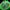 Swatch x Audemars Piguet Bioceramic Royal Pop Green Eight SSX03G100N - SWAT-SXAPBRPG-MULTI