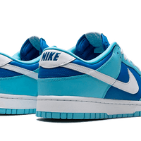 Dunk Low Retro Argon