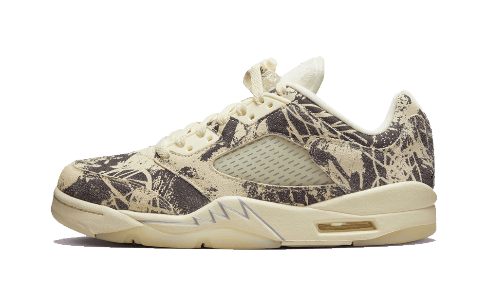 Air Jordan 5 Retro Low Expression