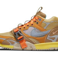 Air Trainer 1 SP Coriander
