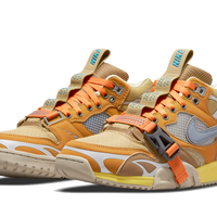 Air Trainer 1 SP Coriander