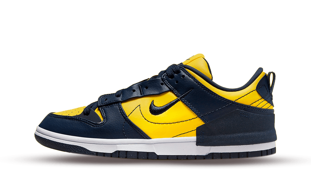 Dunk Low Disrupt 2 Michigan